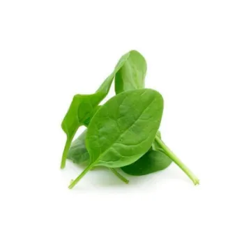 Spinach (18)-3768096-72179.webp